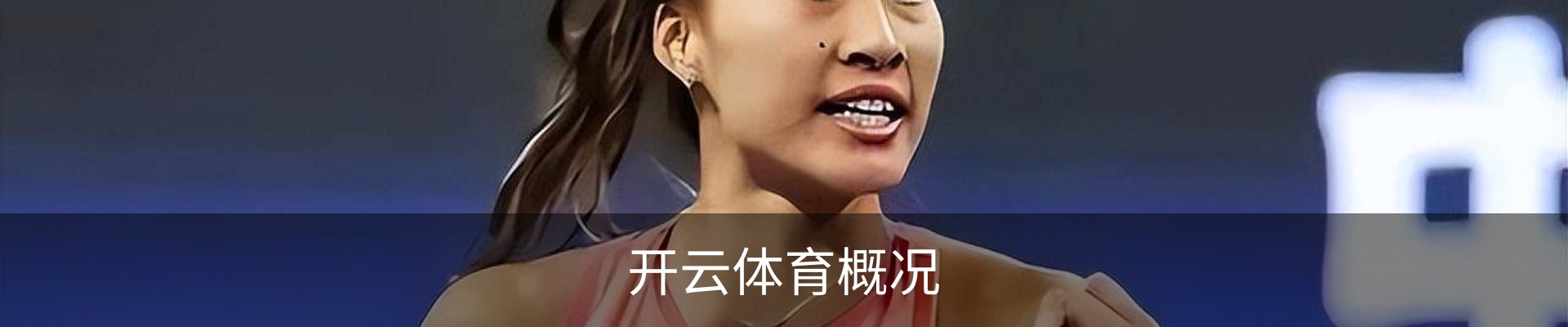 开云体育概况